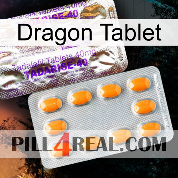 Dragon Tablet new12.jpg